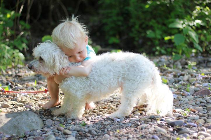 13323786_10207024173346270_8746621624163449830_o