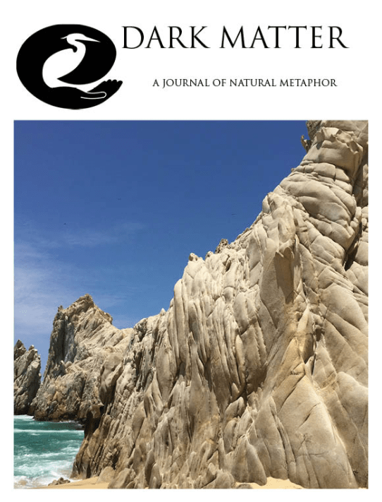 screen-shot-2017-01-10-at-3-54-37-pm