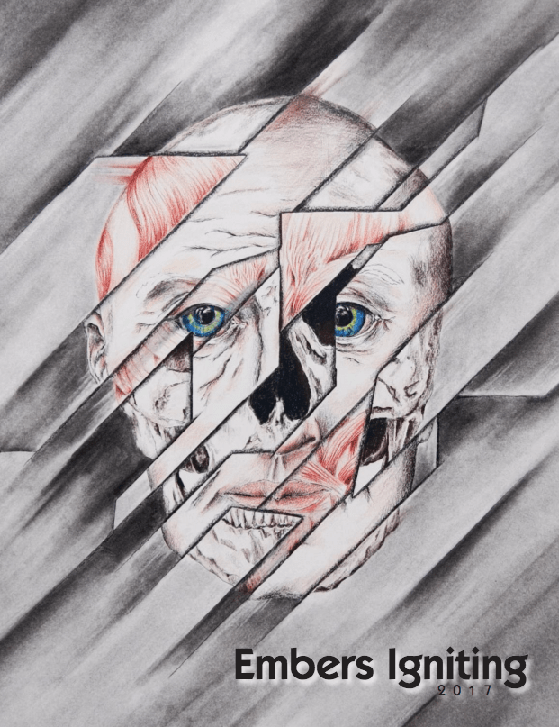 Screen Shot 2017-05-17 at 9.11.10 PM.png