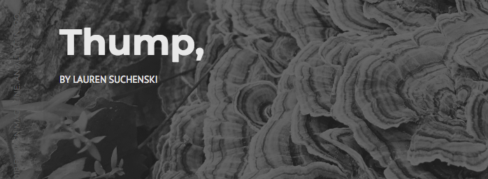 Screen Shot 2018-09-21 at 10.05.15 AM