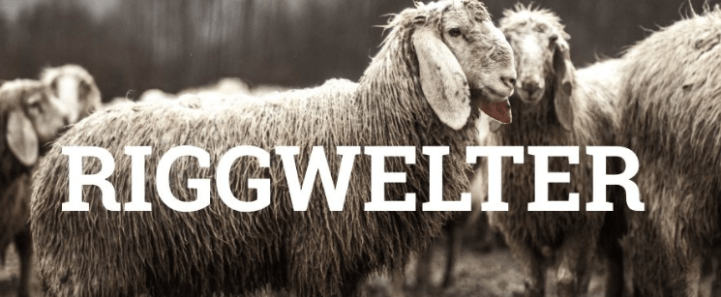 Screen Shot 2019-03-01 at 12.03.13 AM